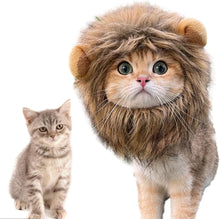 Load images into the gallery viewer,子猫 猫 ライオンのたてがみ 猫用 ウィッグ 帽子 ドレスアップ ライオン たてがみ 滑らか 快適 可愛い インスタグラム ライオンキング コスチューム ライオン ヘア ハット 面白い ペット ねこ ネコ オシャレ お出掛け シンバ ムファサ ナラ カッコいい 男らしい 犬 イヌ いぬ