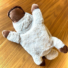 Charger l'image dans la galerie, カモノハシ ペンケース ペン入れ ぬいぐるみ 可愛い アニマル 筆箱 ポーチ かわいい 水族館 動物 もこもこ ふわふわ 大容量 多機能 グッズ 高校生 中学生 女の子 学生 お祝い 新学期 入学 進学 子供 誕生日 ハロウィン クリスマス プレゼント 贈り物 グッズ ブラウン