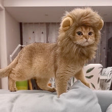 将图片加载到图库查看器，子猫 猫 ライオンのたてがみ 猫用 ウィッグ 帽子 ドレスアップ ライオン たてがみ 滑らか 快適 可愛い インスタグラム ライオンキング コスチューム ライオン ヘア ハット 面白い ペット ねこ ネコ オシャレ お出掛け シンバ ムファサ ナラ カッコいい 男らしい 犬 イヌ いぬ
