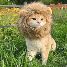 将图片加载到图库查看器，子猫 猫 ライオンのたてがみ 猫用 ウィッグ 帽子 ドレスアップ ライオン たてがみ 滑らか 快適 可愛い インスタグラム ライオンキング コスチューム ライオン ヘア ハット 面白い ペット ねこ ネコ オシャレ お出掛け シンバ ムファサ ナラ カッコいい 男らしい 犬 イヌ いぬ
