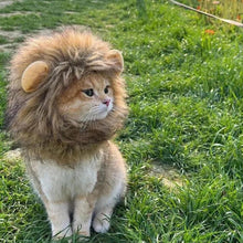 将图片加载到图库查看器，子猫 猫 ライオンのたてがみ 猫用 ウィッグ 帽子 ドレスアップ ライオン たてがみ 滑らか 快適 可愛い インスタグラム ライオンキング コスチューム ライオン ヘア ハット 面白い ペット ねこ ネコ オシャレ お出掛け シンバ ムファサ ナラ カッコいい 男らしい 犬 イヌ いぬ
