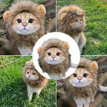 将图片加载到图库查看器，子猫 猫 ライオンのたてがみ 猫用 ウィッグ 帽子 ドレスアップ ライオン たてがみ 滑らか 快適 可愛い インスタグラム ライオンキング コスチューム ライオン ヘア ハット 面白い ペット ねこ ネコ オシャレ お出掛け シンバ ムファサ ナラ カッコいい 男らしい 犬 イヌ いぬ
