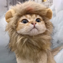将图片加载到图库查看器，子猫 猫 ライオンのたてがみ 猫用 ウィッグ 帽子 ドレスアップ ライオン たてがみ 滑らか 快適 可愛い インスタグラム ライオンキング コスチューム ライオン ヘア ハット 面白い ペット ねこ ネコ オシャレ お出掛け シンバ ムファサ ナラ カッコいい 男らしい 犬 イヌ いぬ

