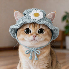 Load images into the gallery viewer,猫 犬 かぶりもの 帽子 ハット ペット コスプレ 被り物 小型犬 ドッグウェア キャットウェア 着ぐるみ 変身 グッズ SNS映え Mサイズ インスタ映え 写真撮影 ハロウィン クリスマス お正月 誕生日 記念日 毛糸 コットン かわいい あご紐調整 綿 ブルー ピンク グッズ 送料無料
