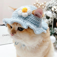 Load images into the gallery viewer,猫 犬 かぶりもの 帽子 ハット ペット コスプレ 被り物 小型犬 ドッグウェア キャットウェア 着ぐるみ 変身 グッズ SNS映え Mサイズ インスタ映え 写真撮影 ハロウィン クリスマス お正月 誕生日 記念日 毛糸 コットン かわいい あご紐調整 綿 ブルー ピンク グッズ 送料無料

