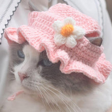 Load images into the gallery viewer,猫 犬 かぶりもの 帽子 ハット ペット コスプレ 被り物 小型犬 ドッグウェア キャットウェア 着ぐるみ 変身 グッズ SNS映え Mサイズ インスタ映え 写真撮影 ハロウィン クリスマス お正月 誕生日 記念日 毛糸 コットン かわいい あご紐調整 綿 ブルー ピンク グッズ 送料無料
