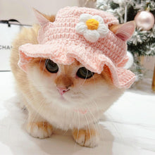 Load images into the gallery viewer,猫 犬 かぶりもの 帽子 ハット ペット コスプレ 被り物 小型犬 ドッグウェア キャットウェア 着ぐるみ 変身 グッズ SNS映え Mサイズ インスタ映え 写真撮影 ハロウィン クリスマス お正月 誕生日 記念日 毛糸 コットン かわいい あご紐調整 綿 ブルー ピンク グッズ 送料無料
